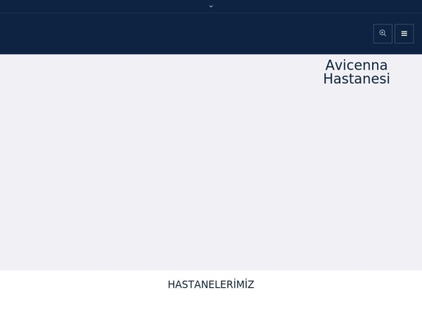 avicennaint.com