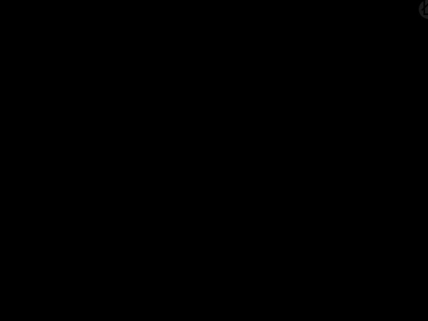 perestizhkabin.com