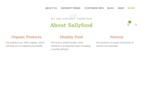 sallyfood1.com