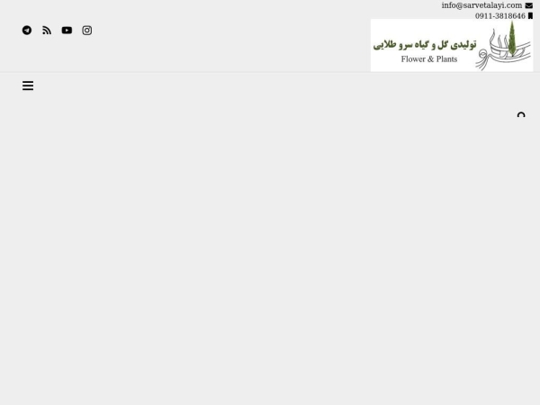 sarvetalayi.com
