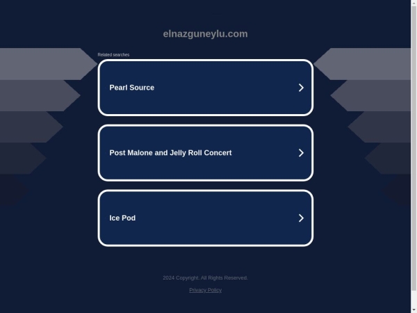 elnazguneylu.com