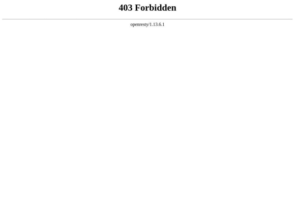 netinads.com