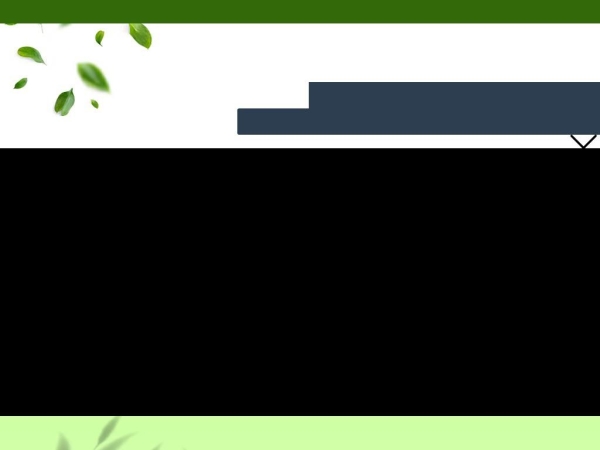palizkasht.com