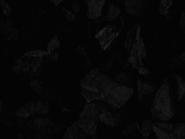 pashikshoes.com