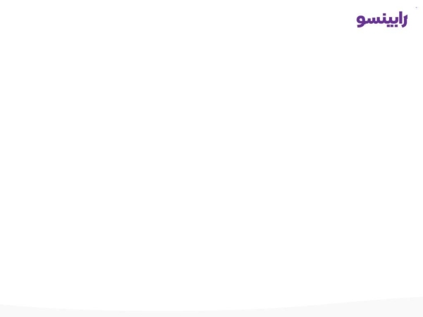 rabinso.com