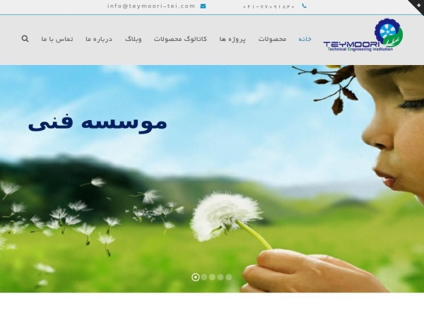 teymoori-tei.com