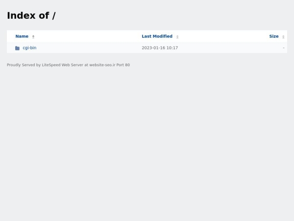website-seo.ir